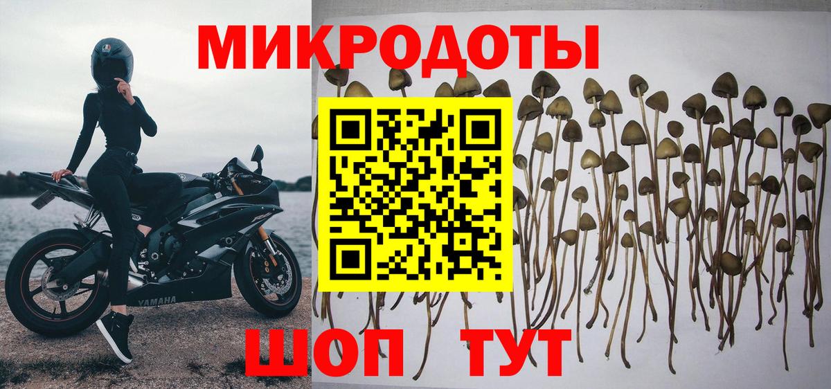Галлюциногенные грибы GOLDEN TEACHER  Галлюциногенные грибы прущие грибы  Карталы  Вход с VPN 